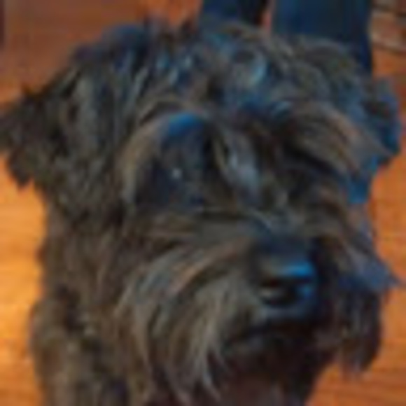 Meet your Posher, Blair - Picture 1 of 1